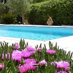 Oleander